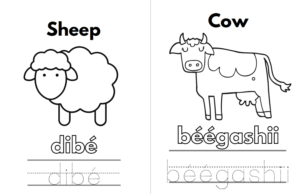 Navajo Children's Coloring Book : Animals