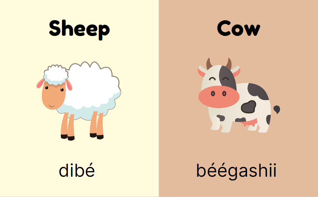 My Navajo Book of Animals